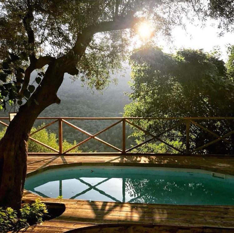 The swimming pool at or close to Pavezzo Country Retreat