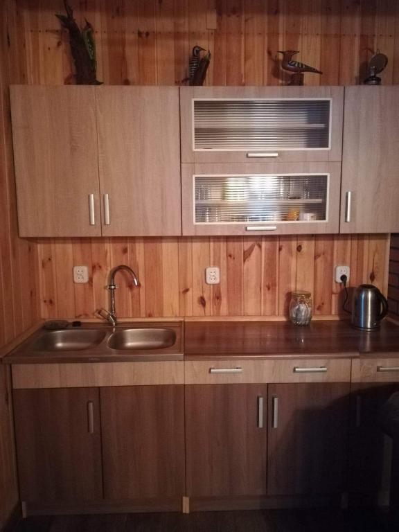 Sielanka Dąbrowa - Appartement