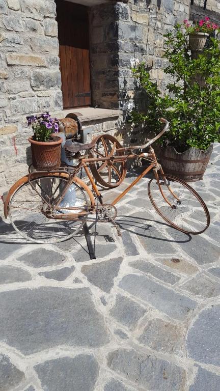 Fotografie z fotogalerie ubytování Apartamentos Cañardo Autural v destinaci Orós Alto
