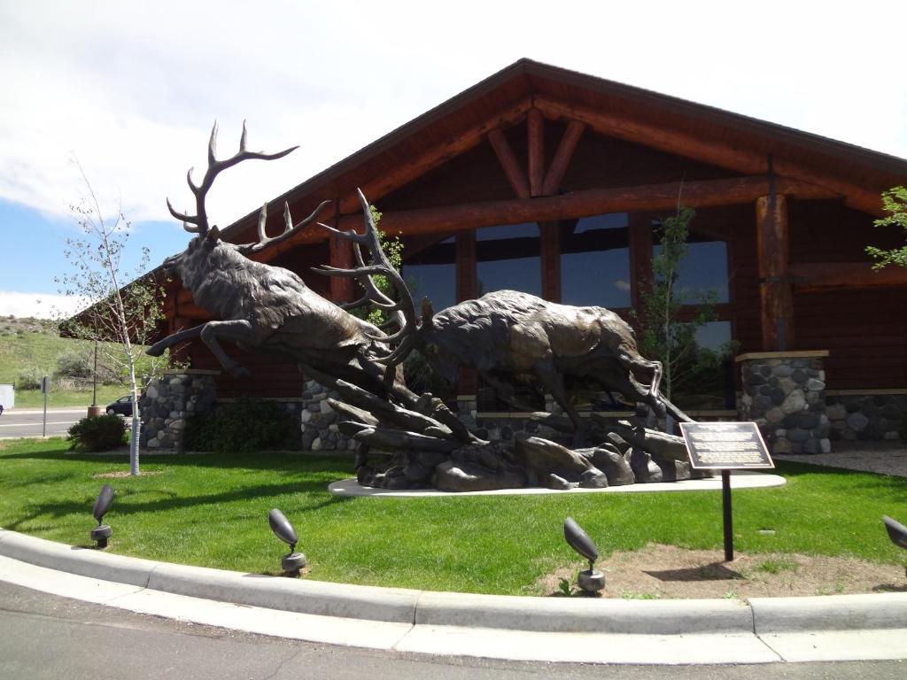 une statue d'un élan devant un bâtiment dans l'établissement AmericInn by Wyndham Cody, à Cody