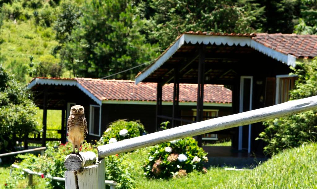  Hotel Fazenda Floresta Negra
