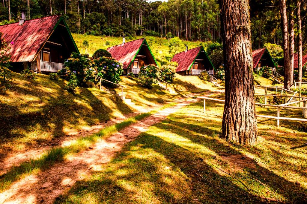  Hotel Fazenda Floresta Negra