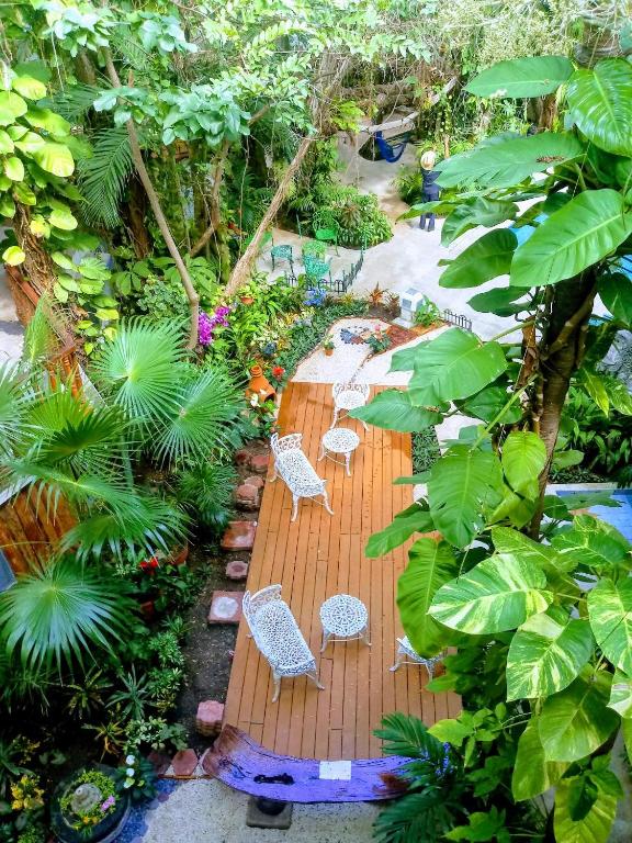 Um jardim em Eco-hotel El Rey del Caribe