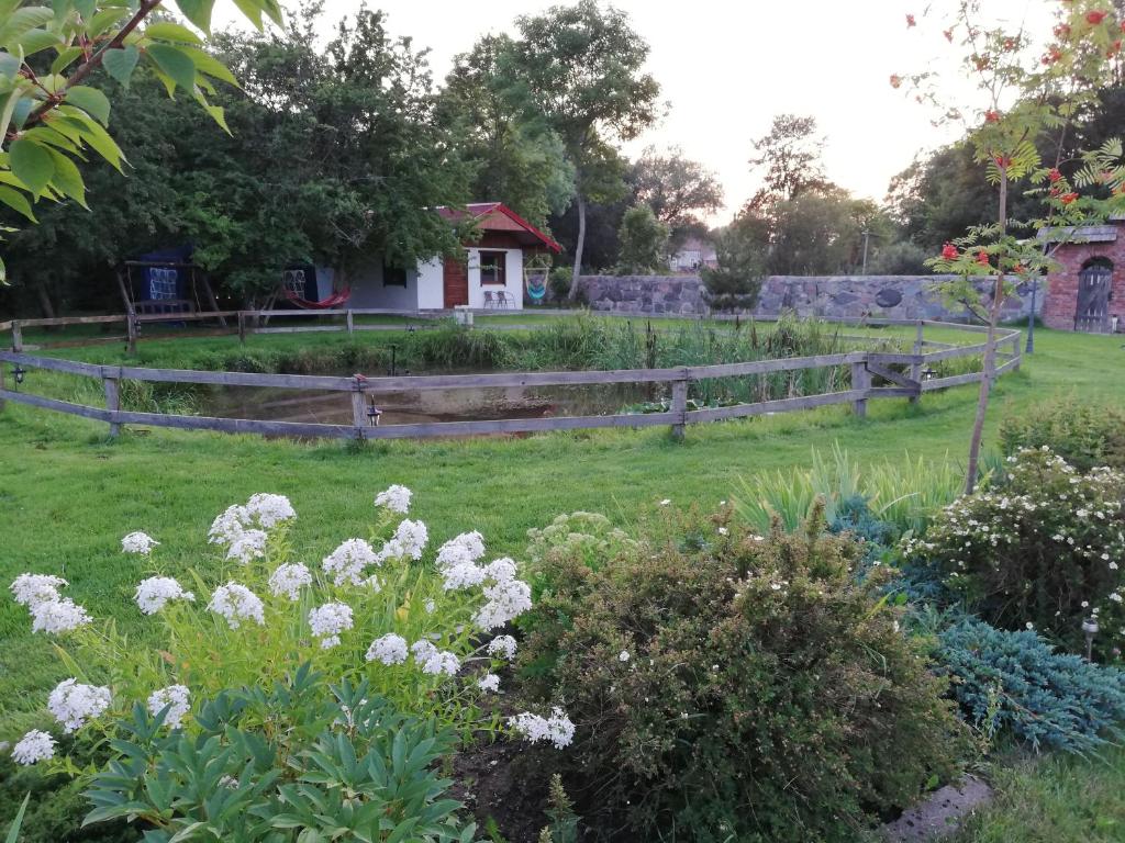 a garden with white flowers and a fence at Babie Lato in Włodarka