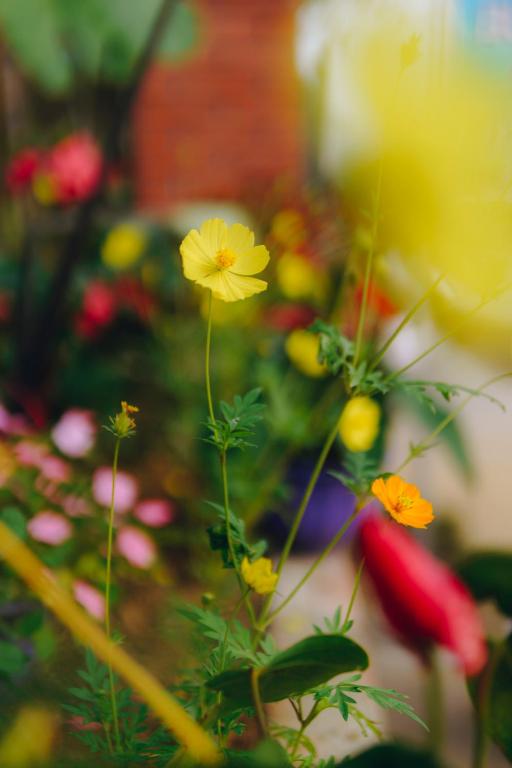 Phong Nha Love Homestay - 18