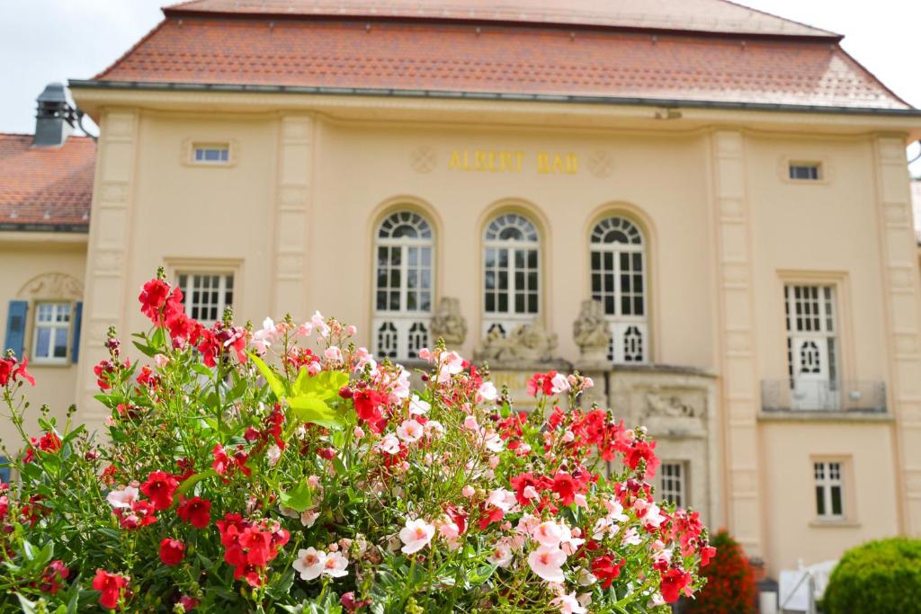 Zahrada ubytování Hotel König Albert