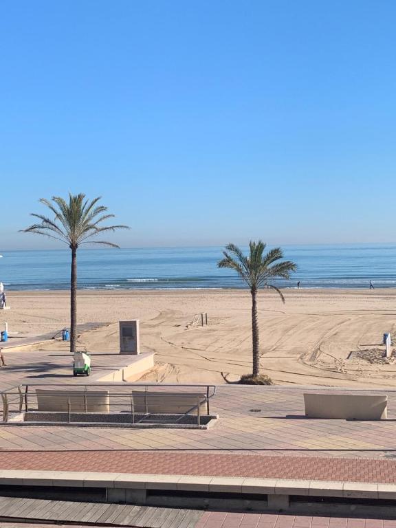 une plage avec des palmiers et l'océan en arrière-plan dans l'établissement BEACH I, à Gandía