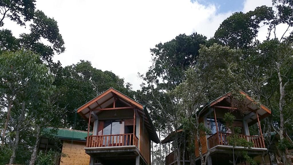 duas casas rústicas no meio das árvores em Saffron Eco Cottage em Ella