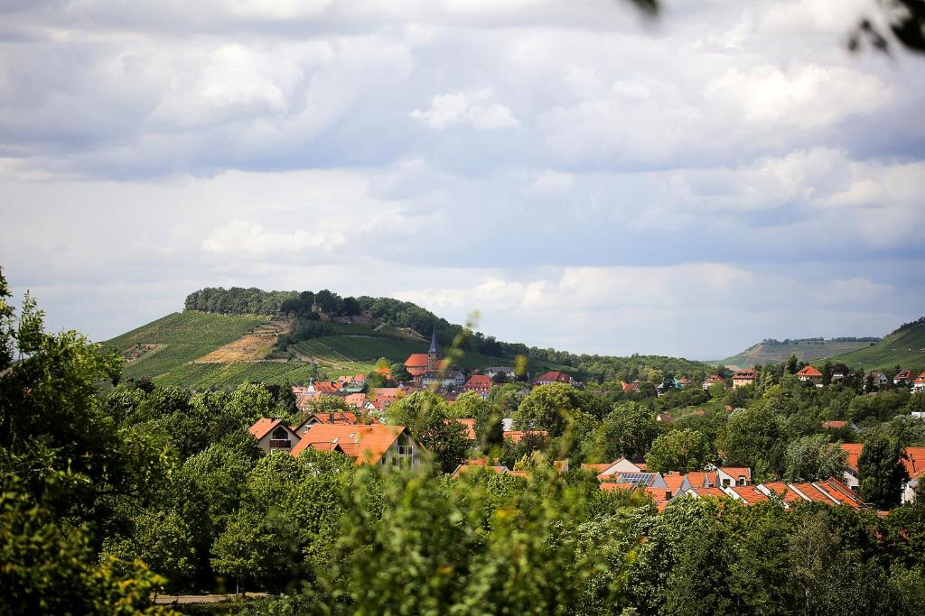 Příroda nedaleko hotelu