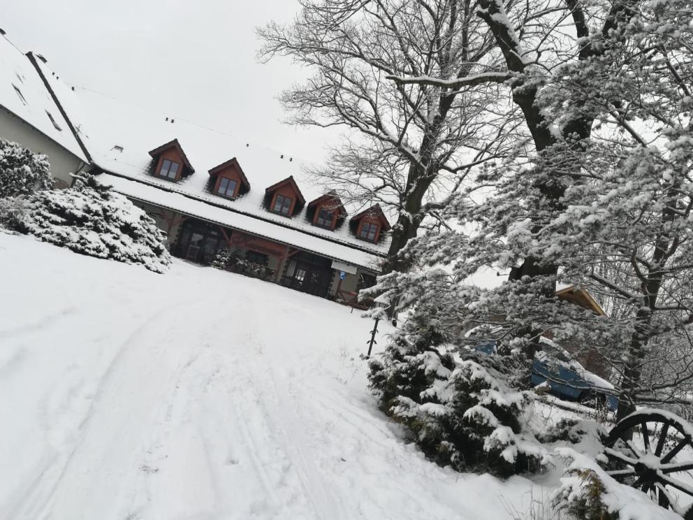 Dwa Dęby om vinteren