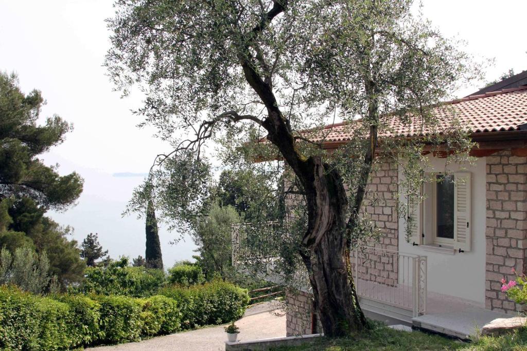 dom z drzewem przed nim w obiekcie Villa degli Ulivi w mieście Toscolano Maderno