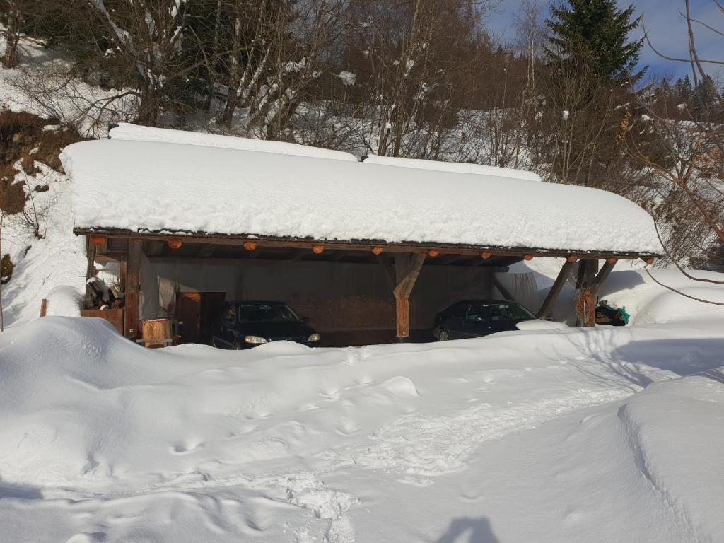 Waldheimathütte v zime