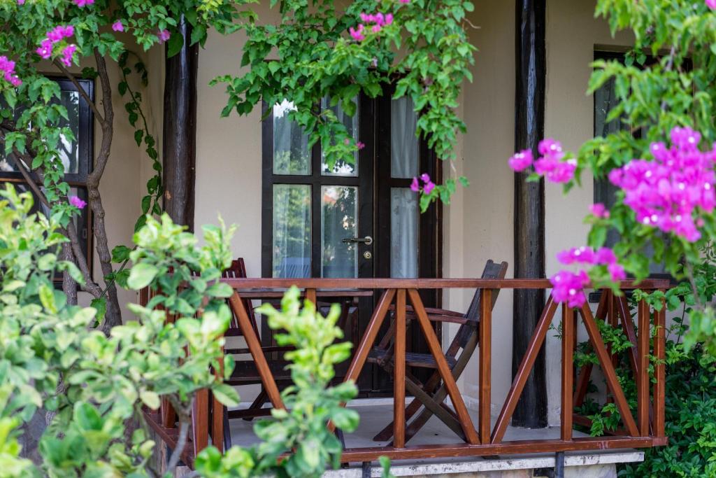 Zahrada ubytování Nerissa Hotel