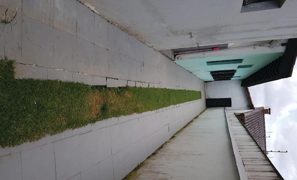  Casa com piscina de frente pro mar