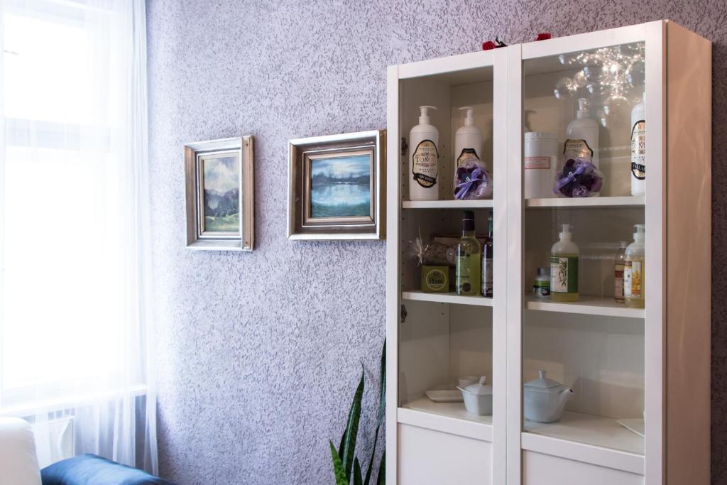 Kuchyň nebo kuchyňský kout v ubytování Luxusni Apartmany Stodolni