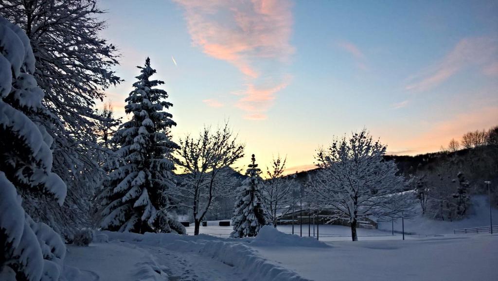 Guesthouse Bor Plitvice Lakes v zime