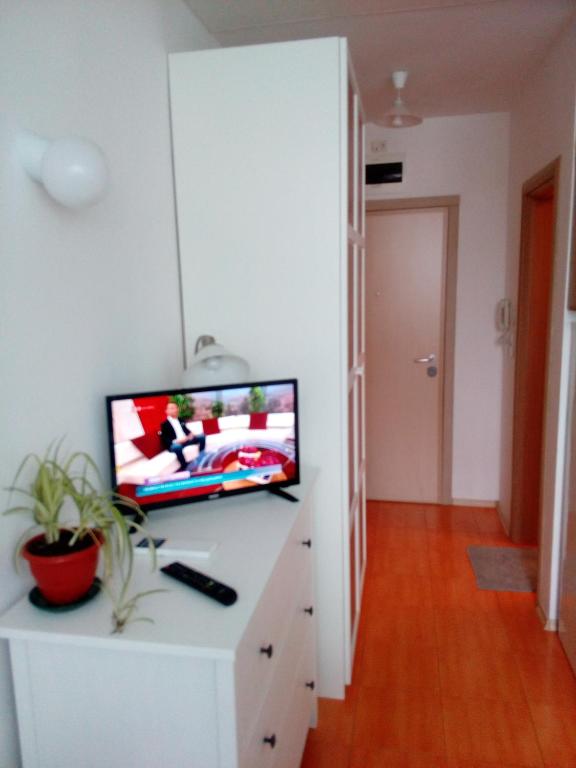 TV a/nebo společenská místnost v ubytování Студио Бижу