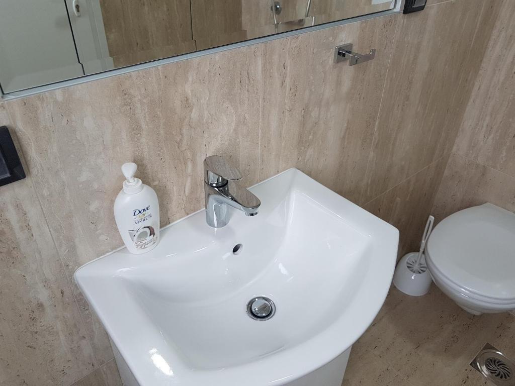 Koupelna v ubytování Apartman Simić 2