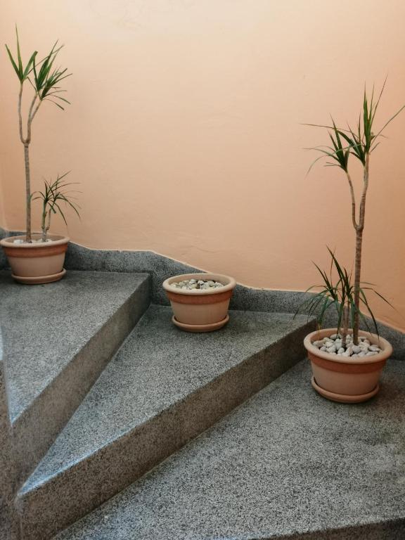 Fotografie z fotogalerie ubytování Apartment Singa v destinaci Zadar