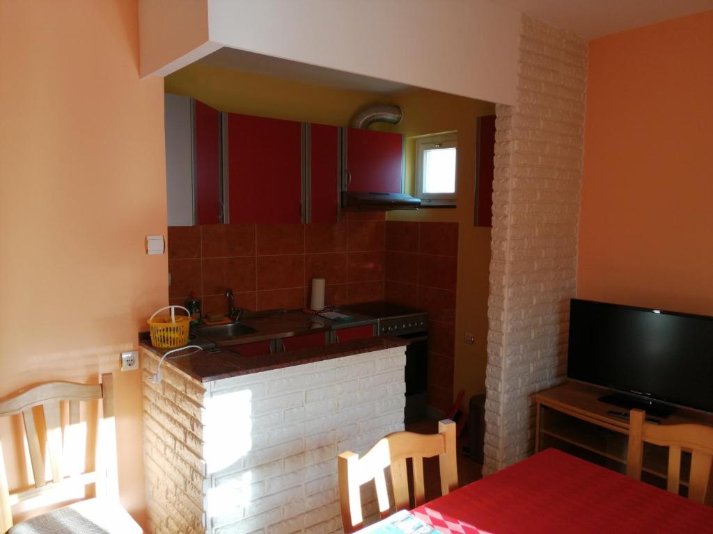Kuchyň nebo kuchyňský kout v ubytování Apartment Singa