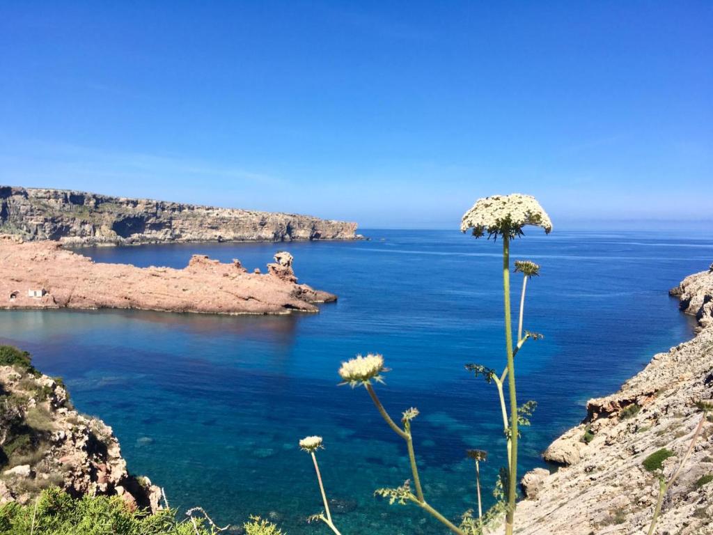 Villa Moll, Cala Morell – Precios actualizados 2023