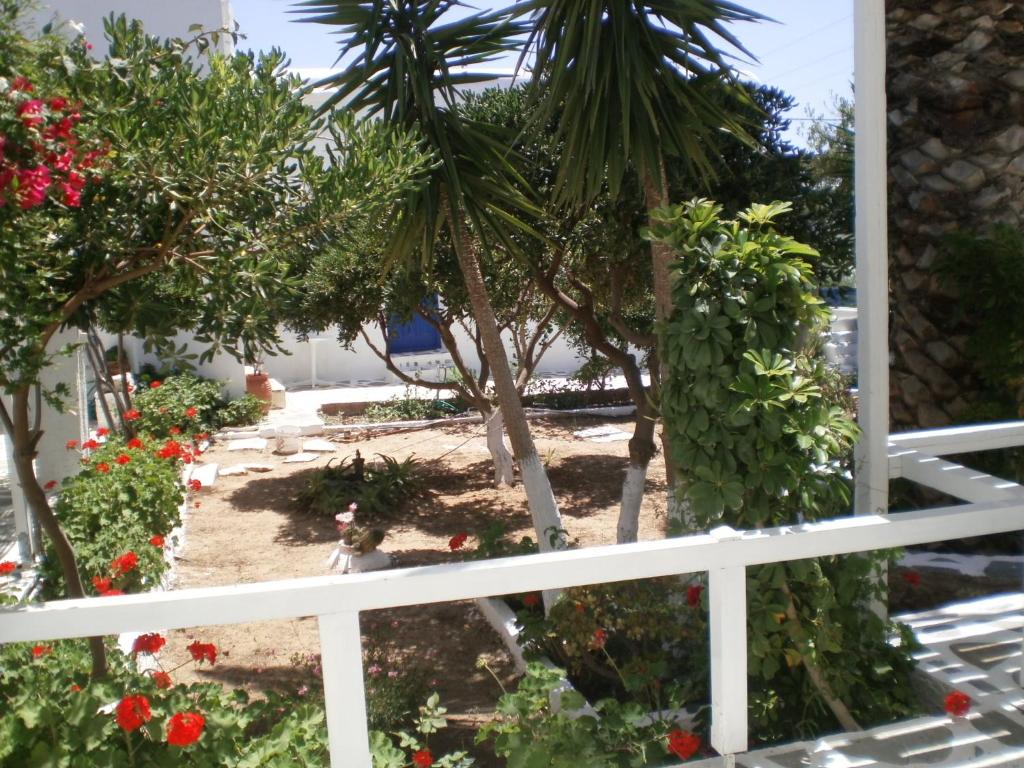 A garden outside Paros Rita Studios