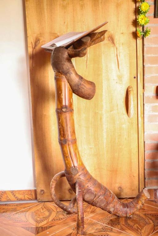 Fotografie z fotogalerie ubytování Chalet Ecoturismo La Nohelia v destinaci Jericó