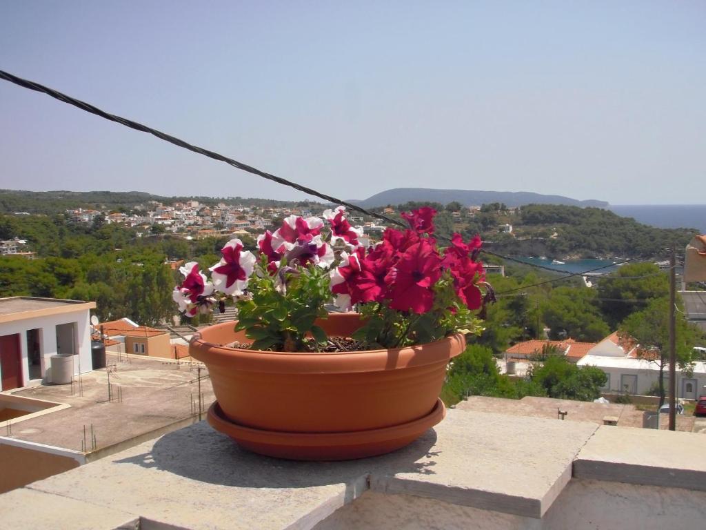 Príroda v okolí apartmánu