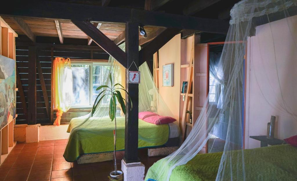 Postel nebo postele na pokoji v ubytování Mosana Reef Garden B&B