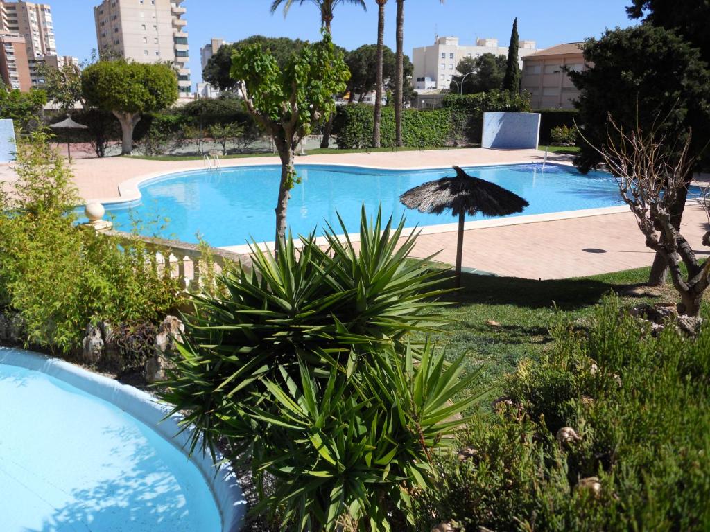 una piscina con sombrilla y algunas plantas en cinco torres el campello en El Campello