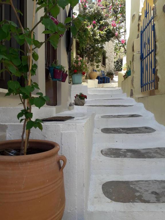 Fotografie z fotogalerie ubytování Tsiboulas Cretan Cottage v destinaci Kritsá