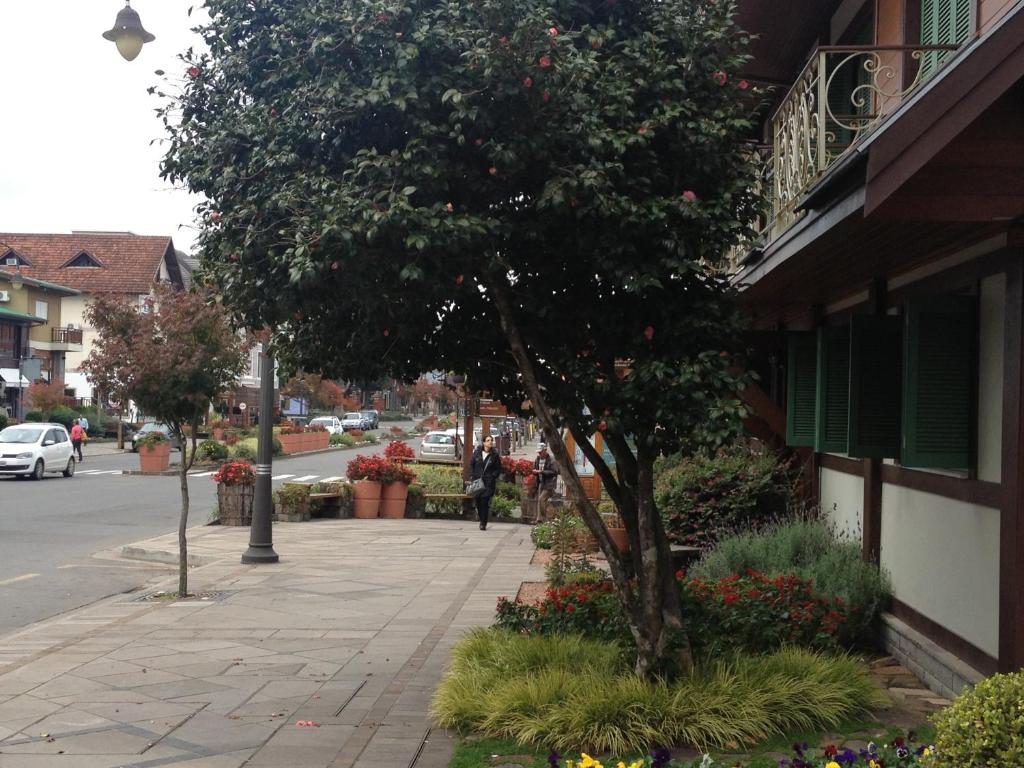 Hotel Vovó Carolina  Hotel Vovó Carolina