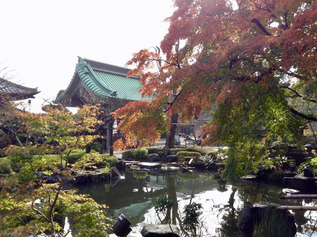 女性専用 Inn By The Sea Kamakura - Women