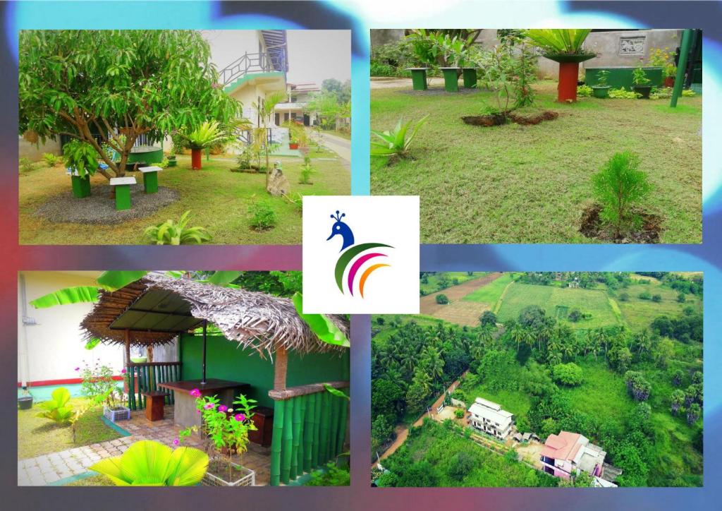 New Peacock Resort - 9