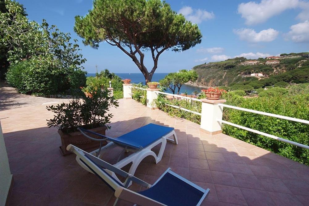 un patio con 2 sillas, una mesa y un árbol en Residence Villa Morcone, en Capoliveri