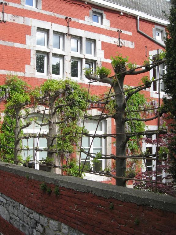 Zahrada ubytování Chambre d'Hôtes Les Augustins - Parking sécurisé - Borne de recharge