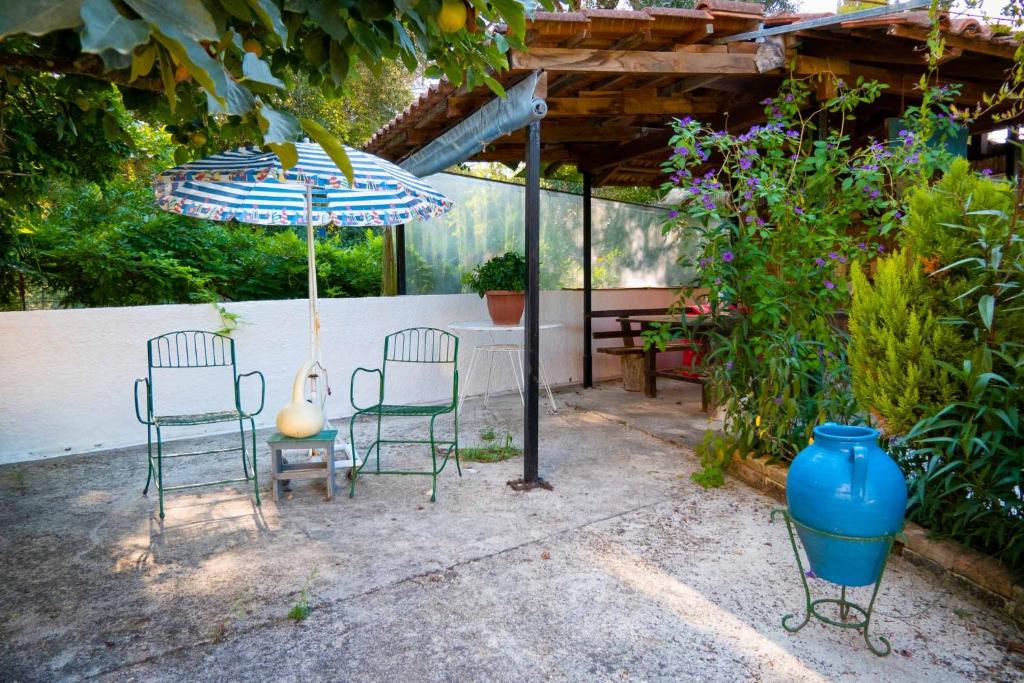 Zahrada ubytování Yiannis Apartments Agios Georgios Pagoi Corfu