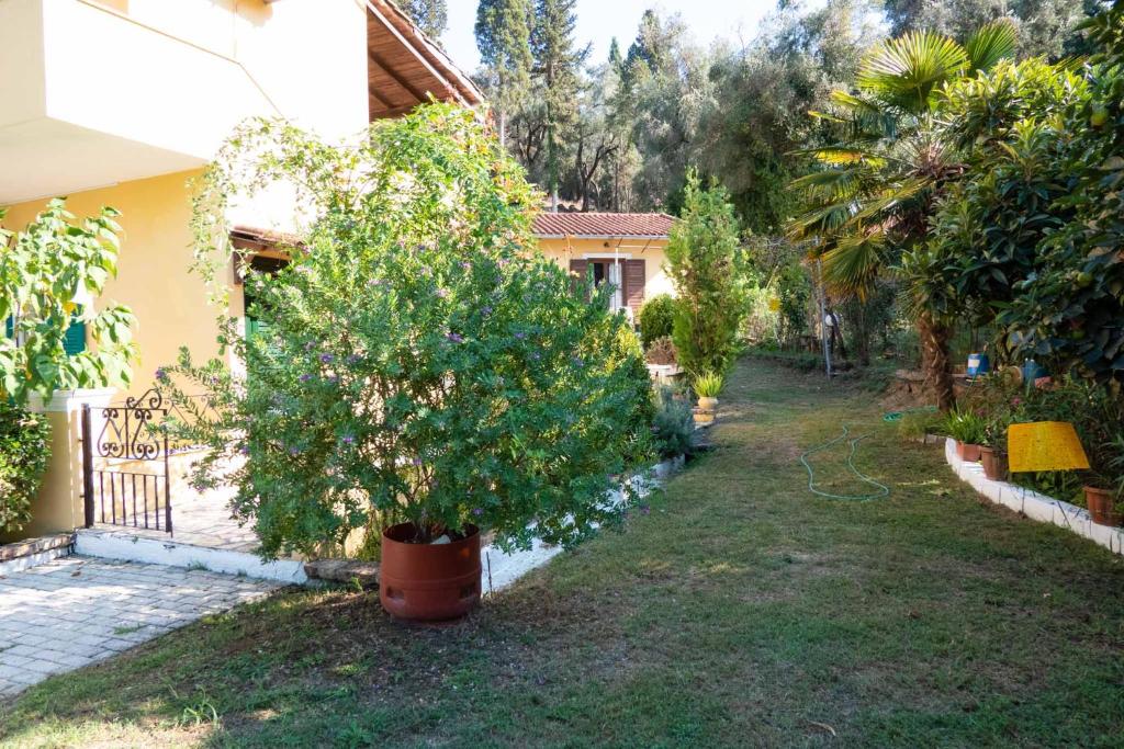 Zahrada ubytování Yiannis Apartments Agios Georgios Pagoi Corfu