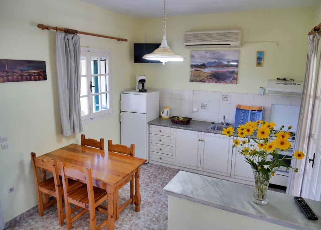 Kuchyň nebo kuchyňský kout v ubytování Yiannis Apartments Agios Georgios Pagoi Corfu