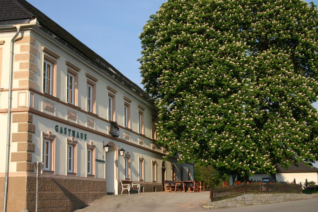 Wallsee的住宿－Gasthof Hehenberger，旁边有一棵树的大建筑