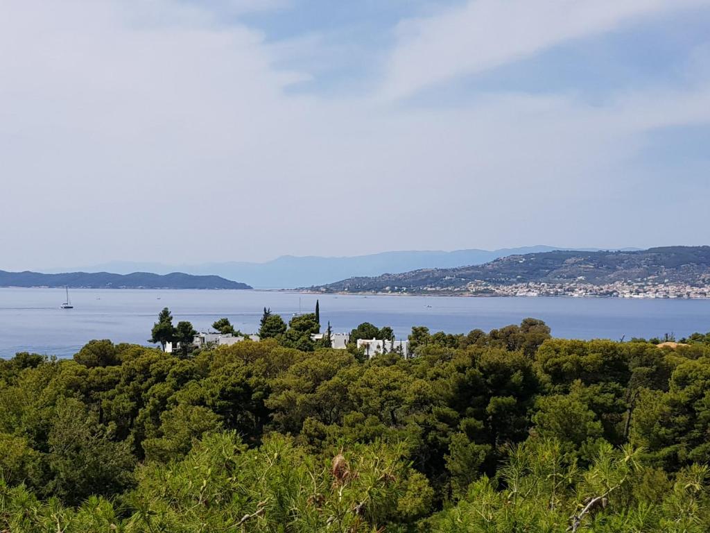 a view of the water from a hill with trees at PLEIADES lUXURY APARTMENTS in Porto Heli