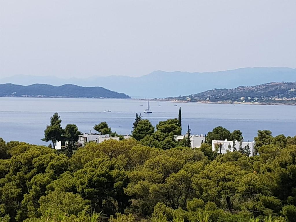 a view of a large body of water with trees at PLEIADES lUXURY APARTMENTS in Porto Heli