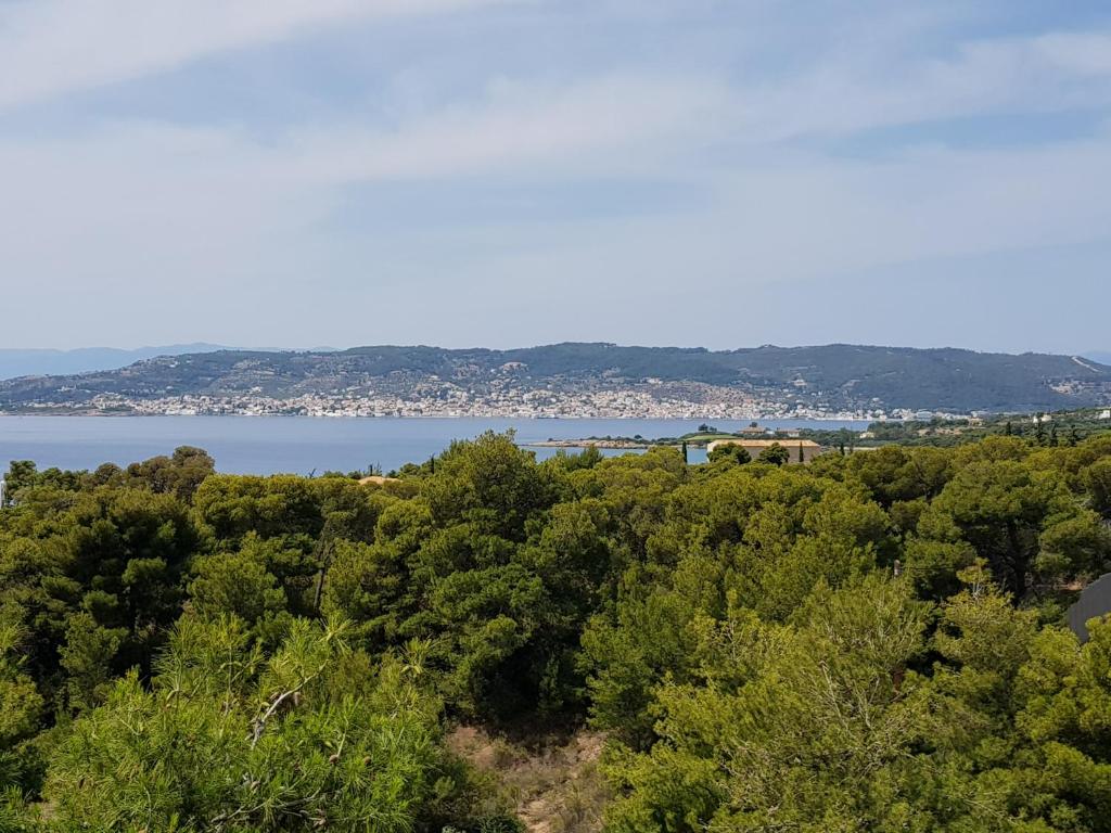 a view of a lake from a hill with trees at PLEIADES lUXURY APARTMENTS in Porto Heli