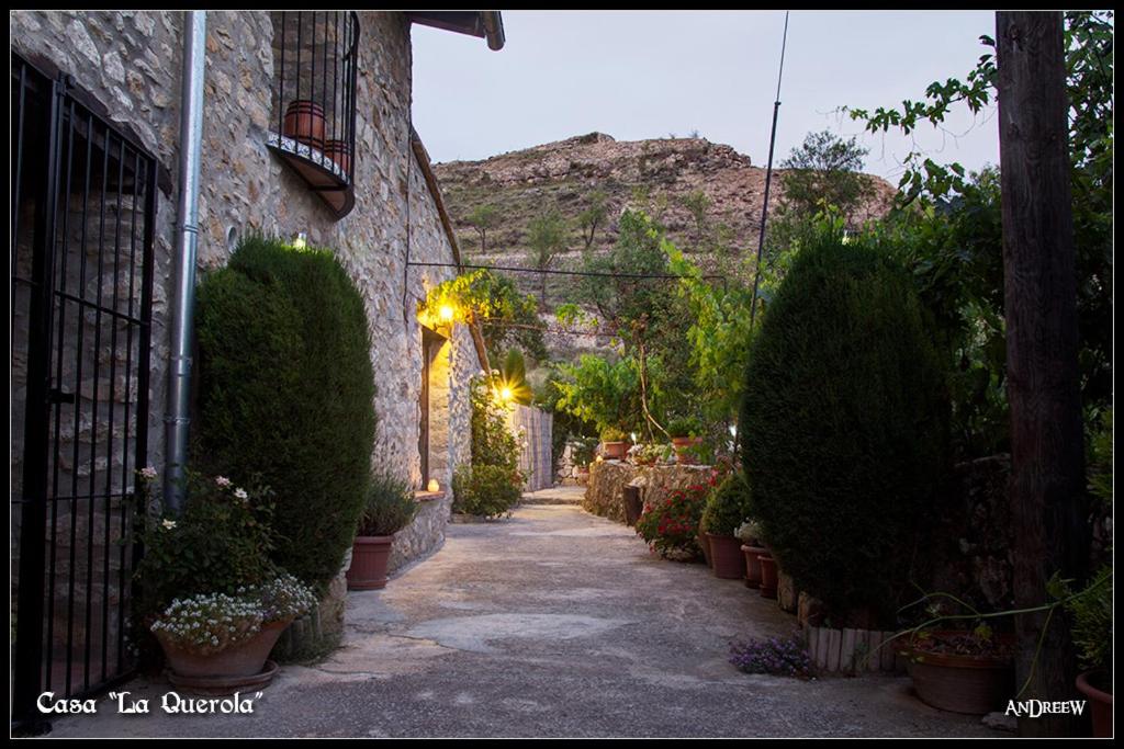 an alley with potted plants and a building at Casa La Querola in Morella