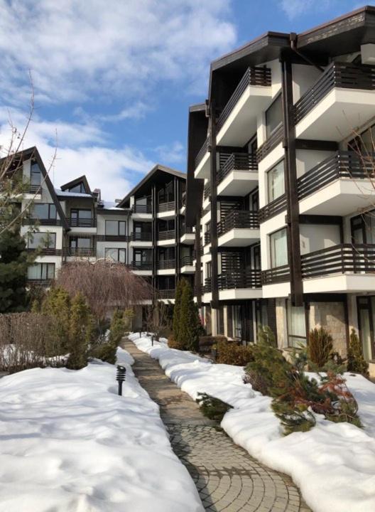 Aspen Suites in Aspen Ski and Spa Resort