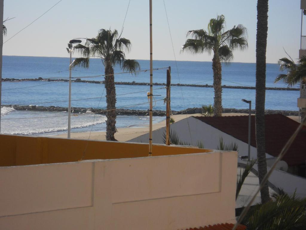 vistas a una playa con palmeras y al océano en Sant Pere 166, en El Campello