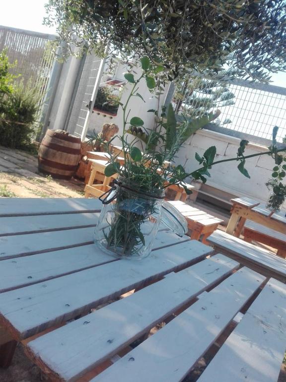 Fotografie z fotogalerie ubytování Sosta Camper La Specchia v destinaci San Pietro in Bevagna
