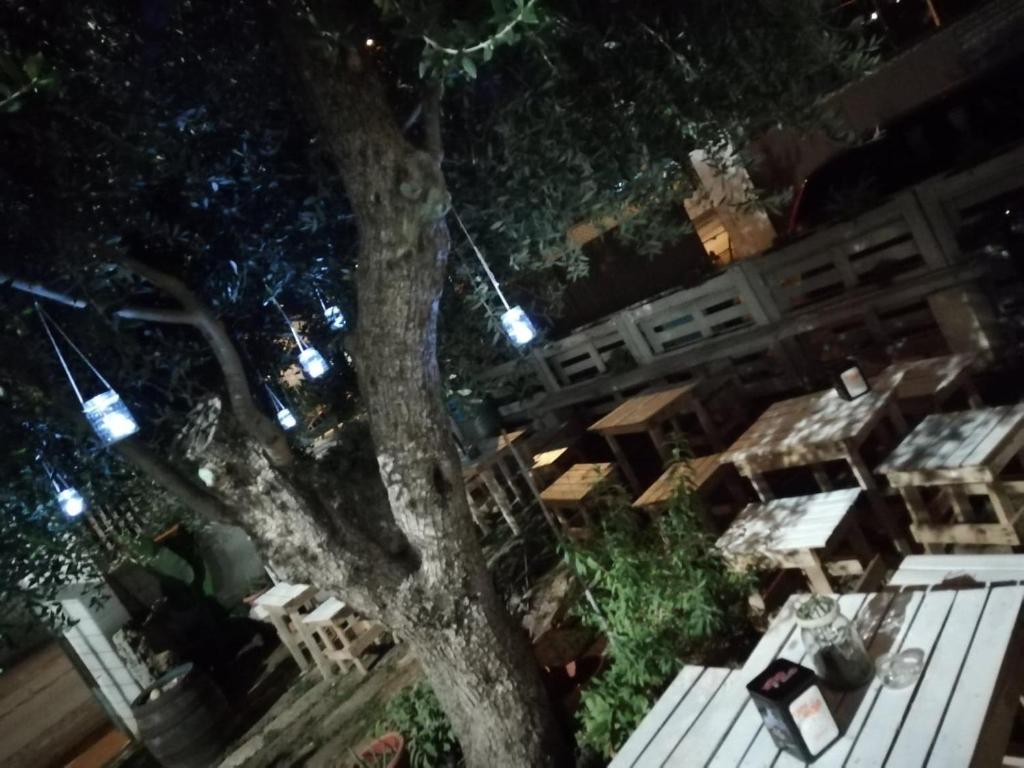 Fotografie z fotogalerie ubytování Sosta Camper La Specchia v destinaci San Pietro in Bevagna