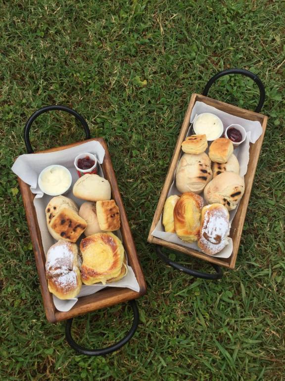 Reina de las Cortaderas