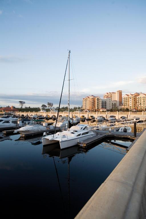 a group of boats are docked in a marina at Marina Inn at Grande Dunes in Myrtle Beach